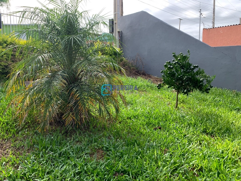 Casa de 03 dormitórios no Prado.: 4ª foto da galeria de imagens do imóvel