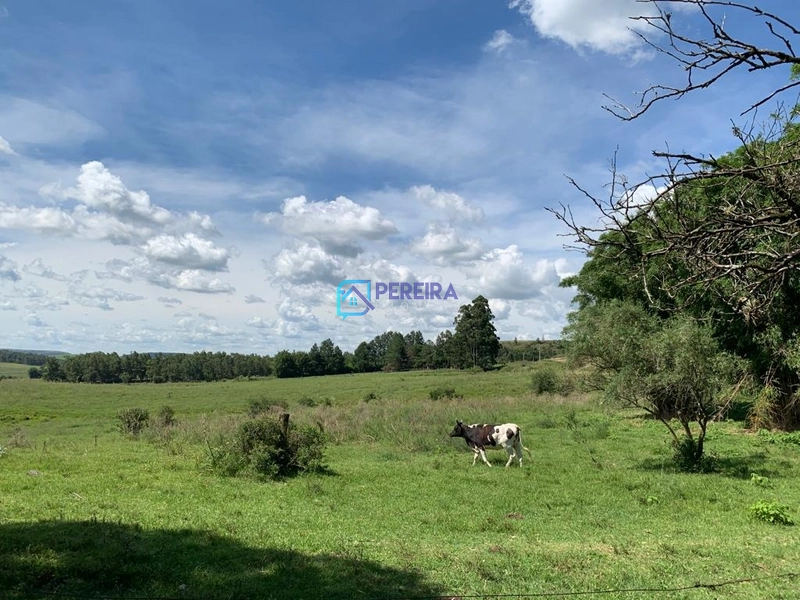 Chácara Passo do Guedes/Vigia: 1ª foto da galeria de imagens do imóvel