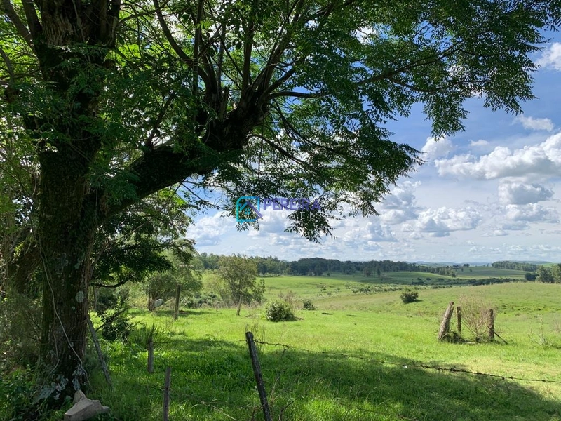 Chácara Passo do Guedes/Vigia: 9ª foto da galeria de imagens do imóvel