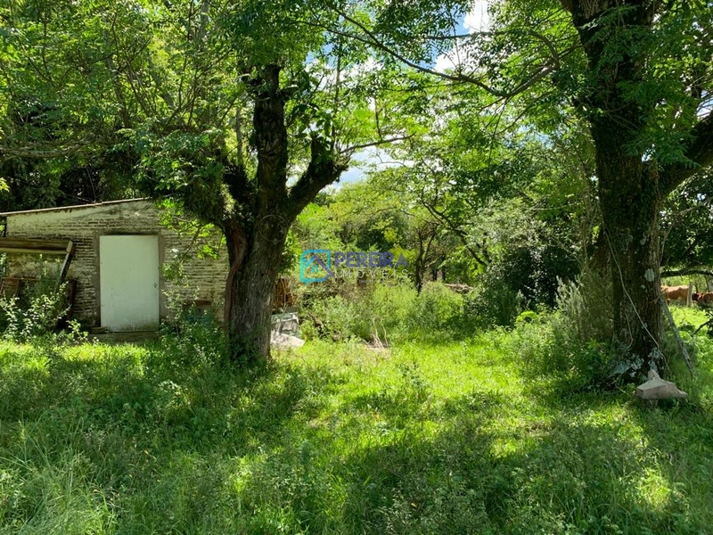 Chácara Passo do Guedes/Vigia: 8ª foto da galeria de imagens do imóvel