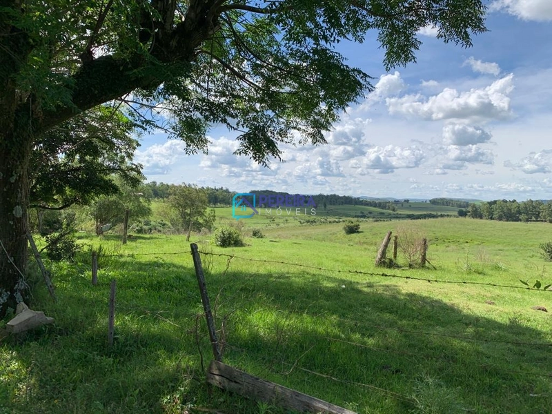 Chácara Passo do Guedes/Vigia: 2ª foto da galeria de imagens do imóvel