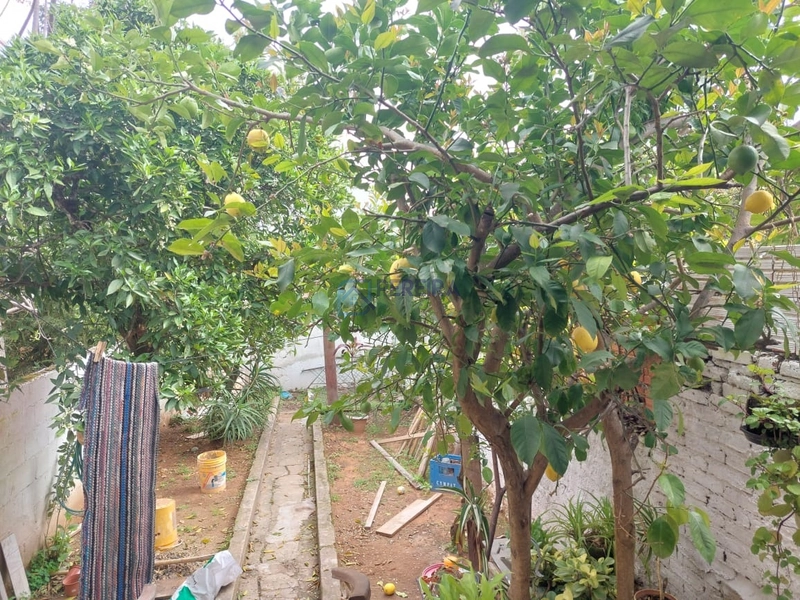 Casa com 03 dormitórios: 17ª foto da galeria de imagens do imóvel