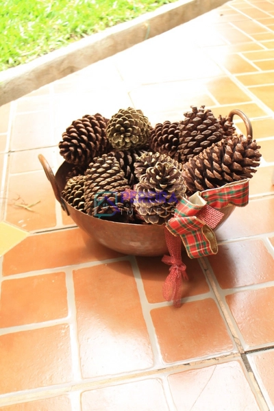 Linda Chácara no Marco do Lopes.: 18ª foto da galeria de imagens do imóvel