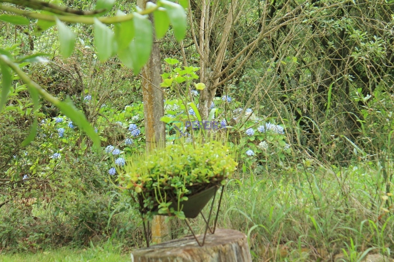 Linda Chácara no Marco do Lopes.: 21ª foto da galeria de imagens do imóvel