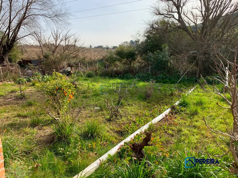 Casa com 5 salas no Prado em Livramento: 26ª foto da galeria de imagens do imóvel