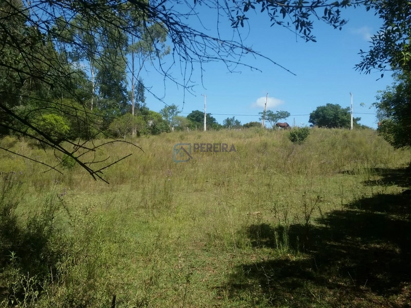 Terreno no Prado: 5ª foto da galeria de imagens do imóvel