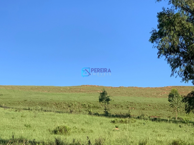 Chácaras no Passo do Guedes: 14ª foto da galeria de imagens do imóvel