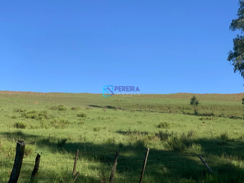 Chácaras no Passo do Guedes: 17ª foto da galeria de imagens do imóvel