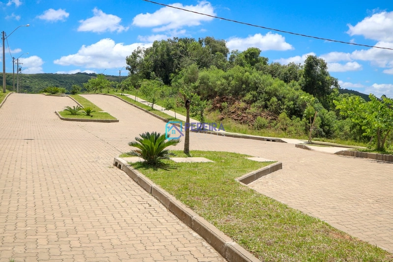 Terreno Mirante del Bosque: 9ª foto da galeria de imagens do imóvel