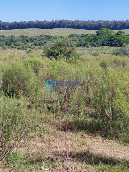 Chácara na Mangueira Colorada: 1ª foto da galeria de imagens do imóvel