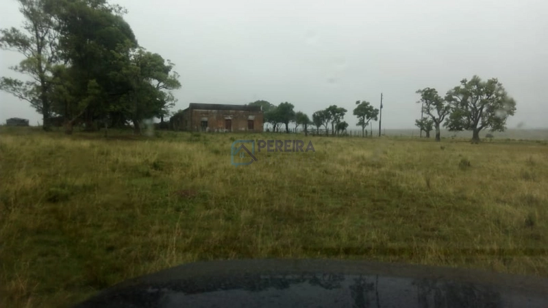 Campo no Coxília Negra em Livramento: 1ª foto da galeria de imagens do imóvel
