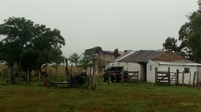 Campo no Coxília Negra em Livramento: 7ª foto da galeria de imagens do imóvel