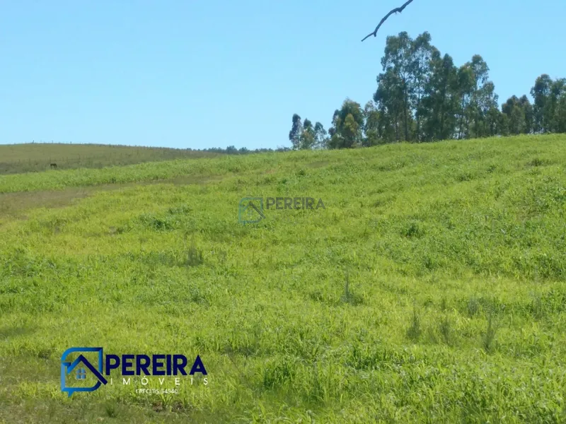 Chácara perto do centro de Livramento: 1ª foto da galeria de imagens do imóvel