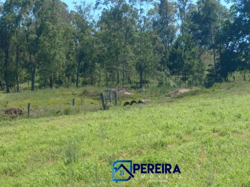 Chácara perto do centro de Livramento: 2ª foto da galeria de imagens do imóvel