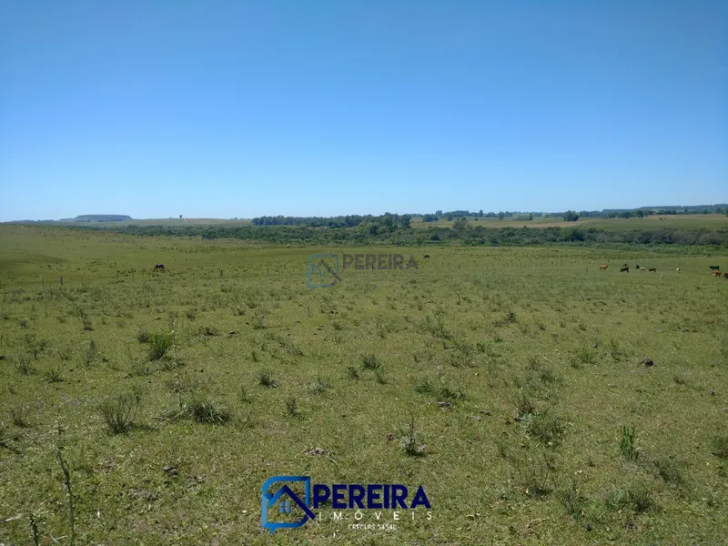 Chácara perto do centro de Livramento: 8ª foto da galeria de imagens do imóvel