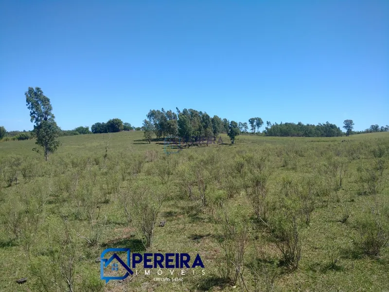 Chácara perto do centro de Livramento: 9ª foto da galeria de imagens do imóvel