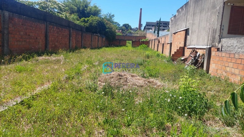 Terreno no centro: 3ª foto da galeria de imagens do imóvel