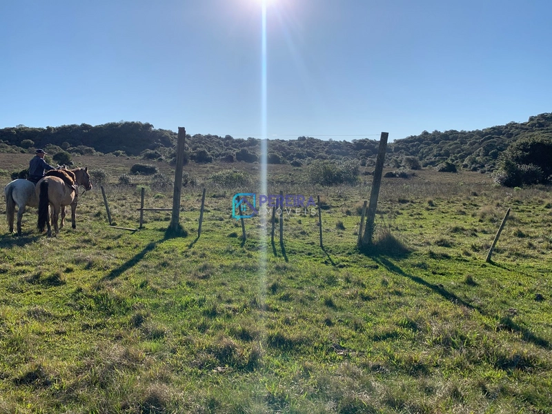 Campo no Cerro Agudo: 32ª foto da galeria de imagens do imóvel