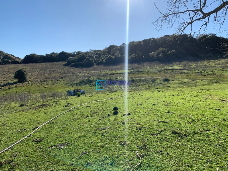Campo no Cerro Agudo: 22ª foto da galeria de imagens do imóvel