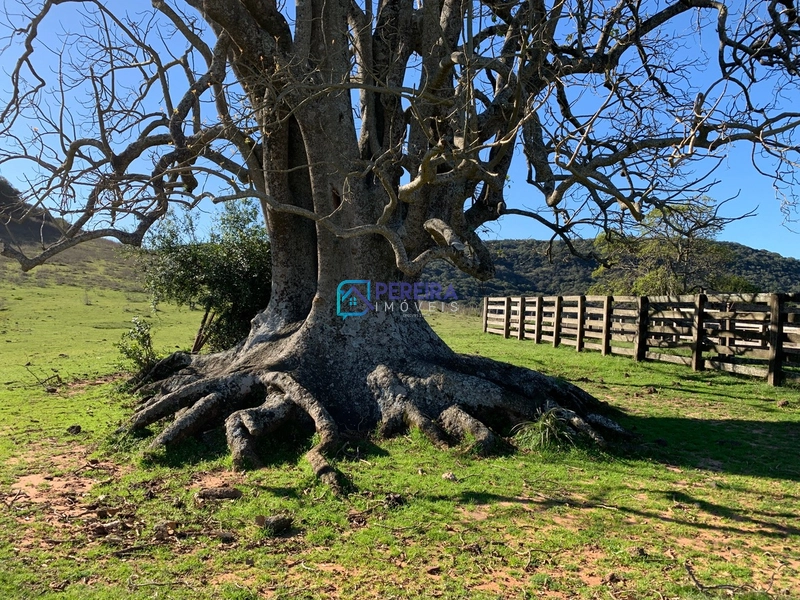 Campo no Cerro Agudo: 23ª foto da galeria de imagens do imóvel