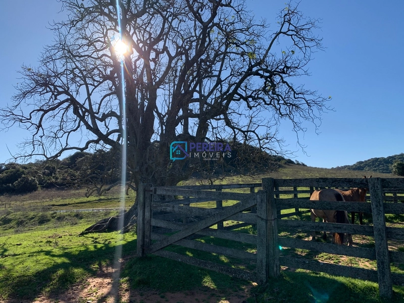 Campo no Cerro Agudo: 21ª foto da galeria de imagens do imóvel
