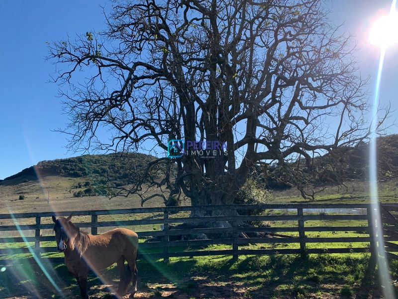 Campo no Cerro Agudo: 31ª foto da galeria de imagens do imóvel