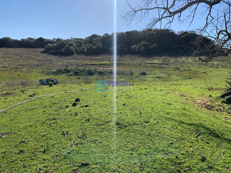 Campo no Cerro Agudo: 25ª foto da galeria de imagens do imóvel