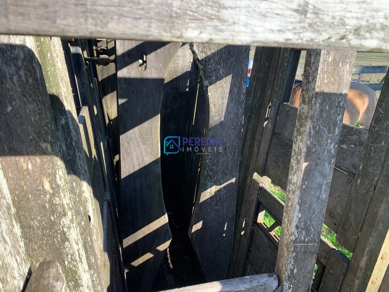 Campo no Cerro Agudo: 28ª foto da galeria de imagens do imóvel