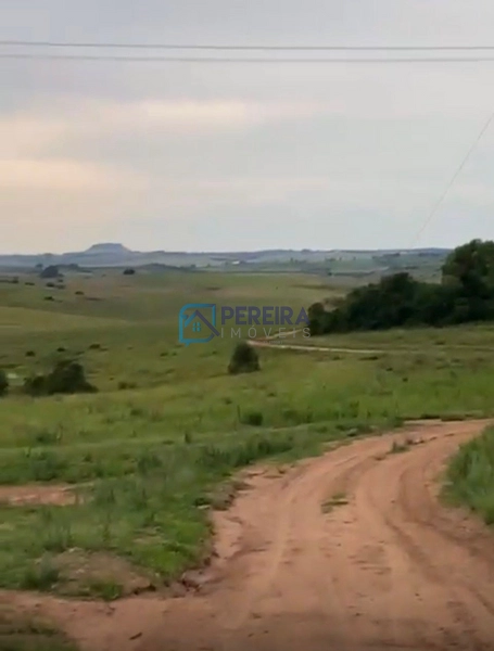 Chácara em Santana do Livramento: 2ª foto da galeria de imagens do imóvel