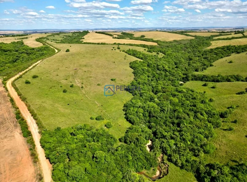 Campo com 62 hectares em Caçapava do Sul.: 4ª foto da galeria de imagens do imóvel