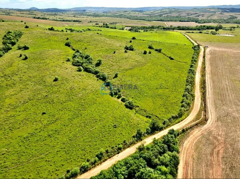 Campo com 62 hectares em Caçapava do Sul.: 1ª foto da galeria de imagens do imóvel