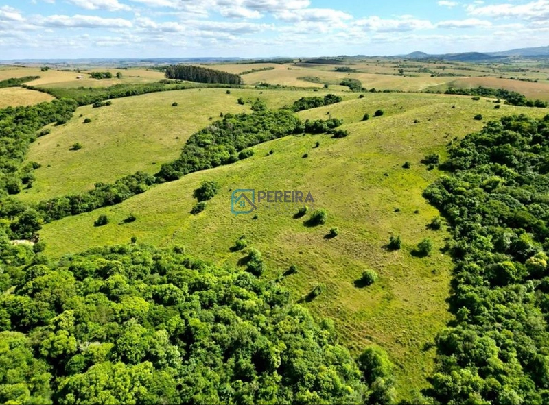 Campo com 62 hectares em Caçapava do Sul.: 2ª foto da galeria de imagens do imóvel