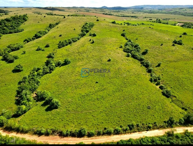 Campo com 62 hectares em Caçapava do Sul.: 5ª foto da galeria de imagens do imóvel