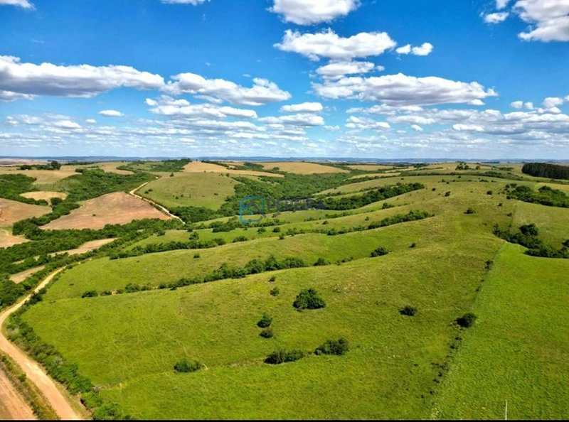Campo com 62 hectares em Caçapava do Sul.: 3ª foto da galeria de imagens do imóvel