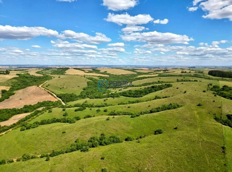 Campo com 62 hectares em Caçapava do Sul.: 6ª foto da galeria de imagens do imóvel