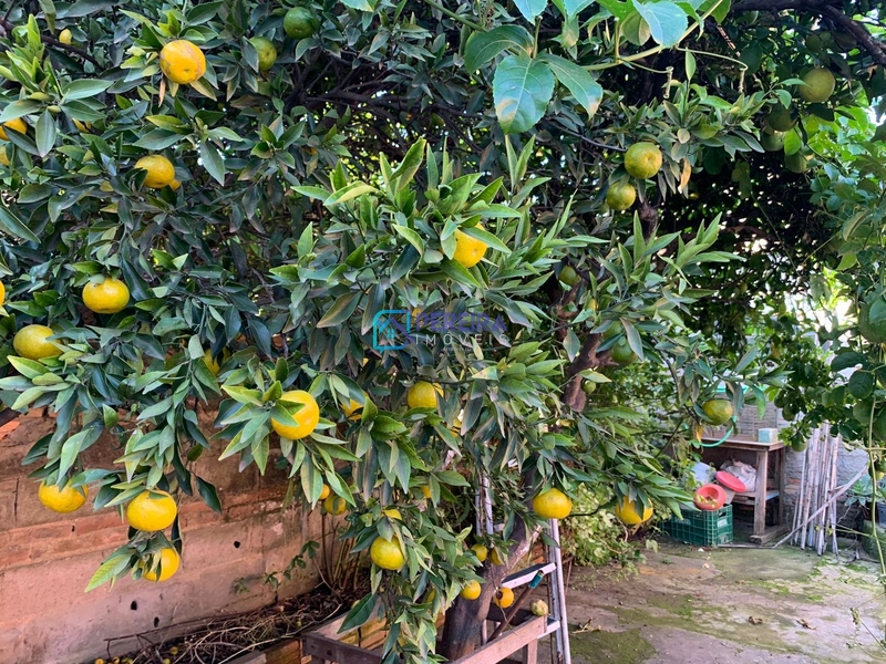 Casa de 03 dormitórios na Kennedy: 20ª foto da galeria de imagens do imóvel