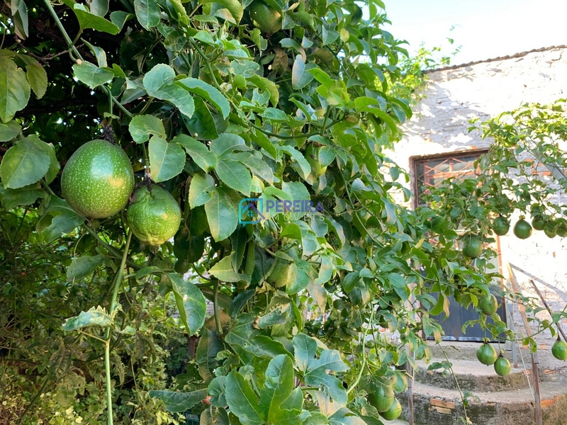 Casa de 03 dormitórios na Kennedy: 19ª foto da galeria de imagens do imóvel