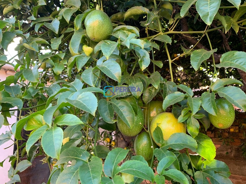 Casa de 03 dormitórios na Kennedy: 18ª foto da galeria de imagens do imóvel