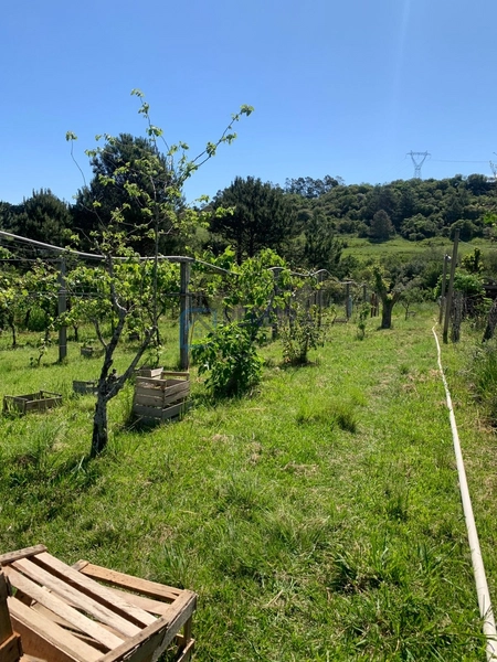 Casa Parque Paraiso: 11ª foto da galeria de imagens do imóvel