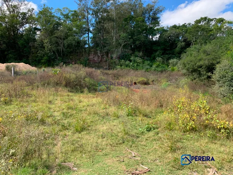 Terreno Amplo no Umbu em Livramento: 3ª foto da galeria de imagens do imóvel