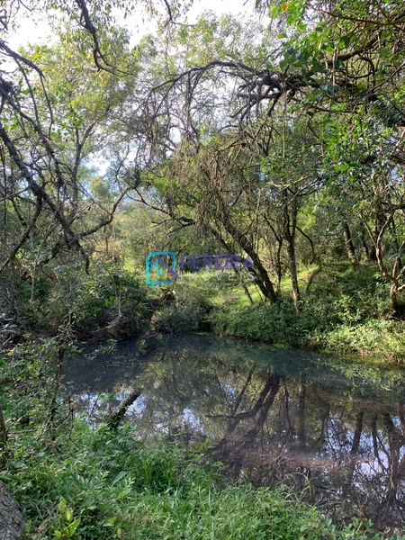 Chácara no Espinilho/Estrada da Caneleira: 1ª foto da galeria de imagens do imóvel