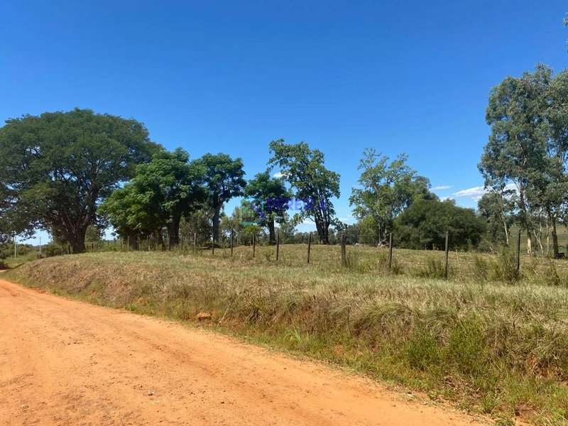 5 hectares de campo na Florentina: 2ª foto da galeria de imagens do imóvel