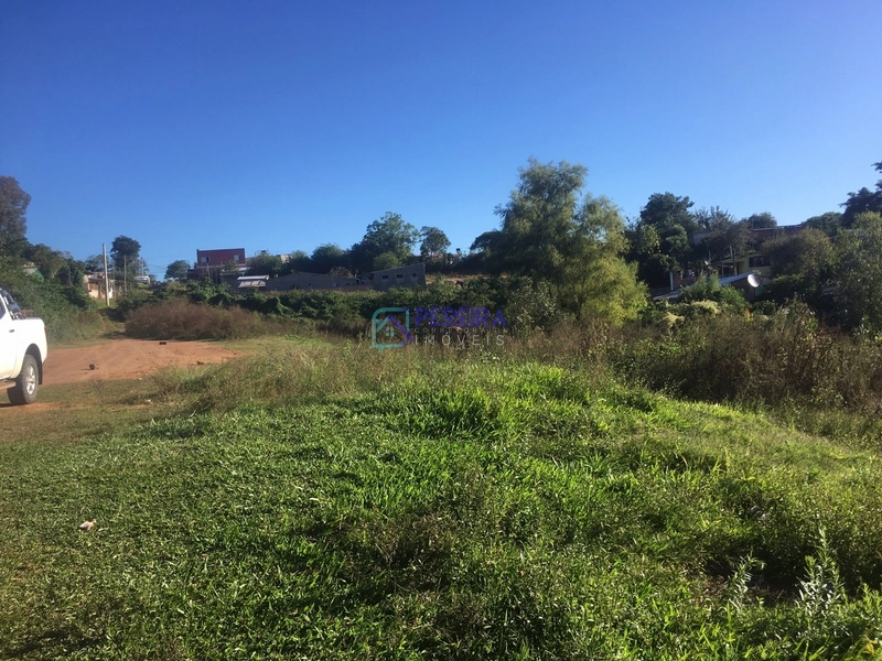 Terreno de 29.000 m2 no Wilson: 5ª foto da galeria de imagens do imóvel