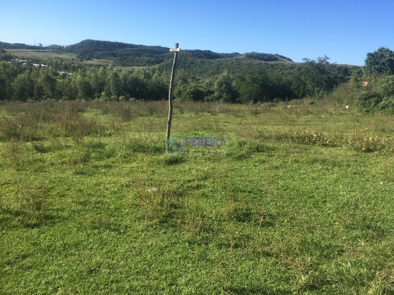 Terreno de 29.000 m2 no Wilson: 7ª foto da galeria de imagens do imóvel