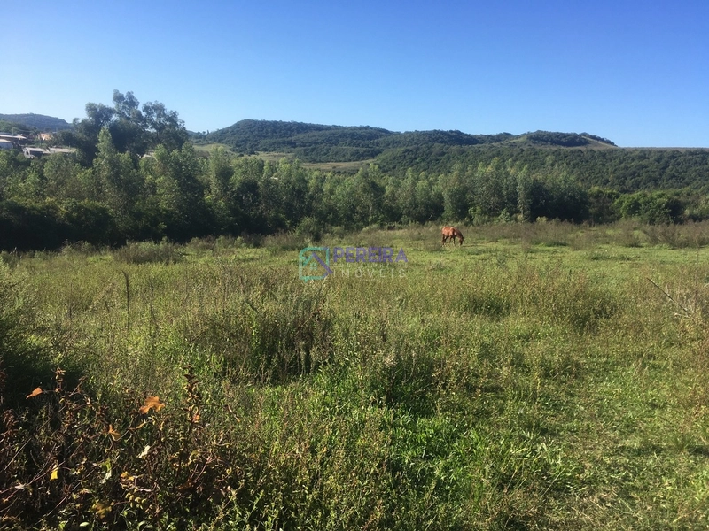 Terreno de 29.000 m2 no Wilson: 6ª foto da galeria de imagens do imóvel