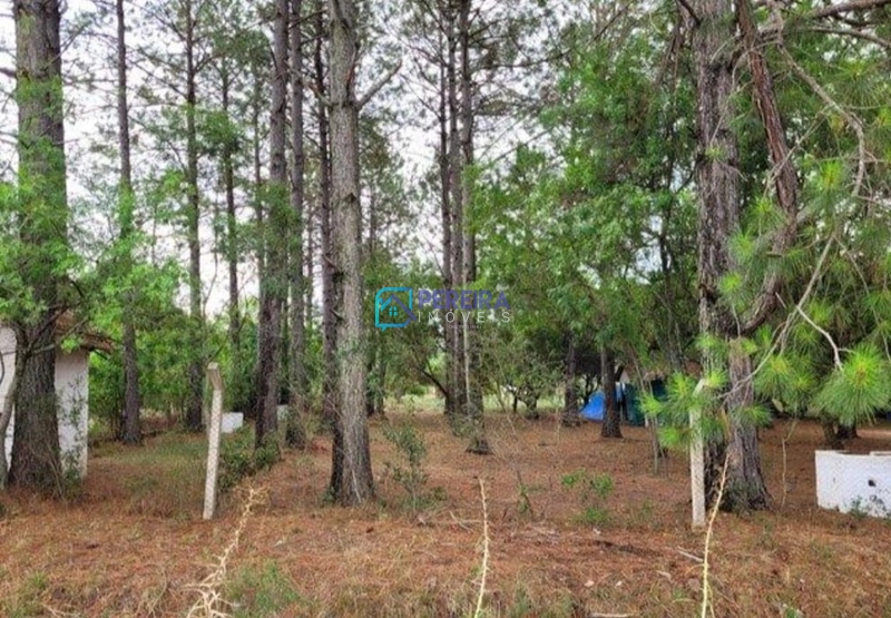 Terreno à venda em Santana do Livramento, Residencial Sierrasol: 4ª foto da galeria de imagens do imóvel