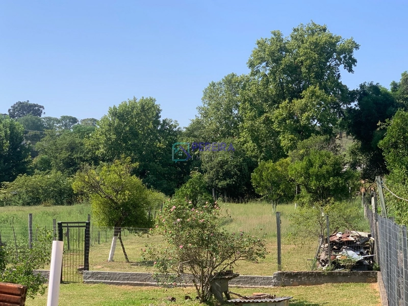 Casa no Armour com terreno amplo.: 2ª foto da galeria de imagens do imóvel