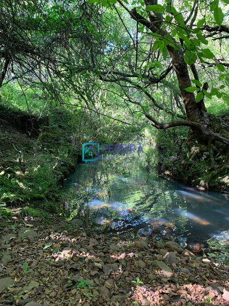 null: 13ª foto da galeria de imagens do imóvel