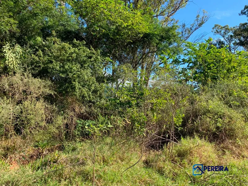 Terreno na Vila Progresso em Livramento: 1ª foto da galeria de imagens do imóvel