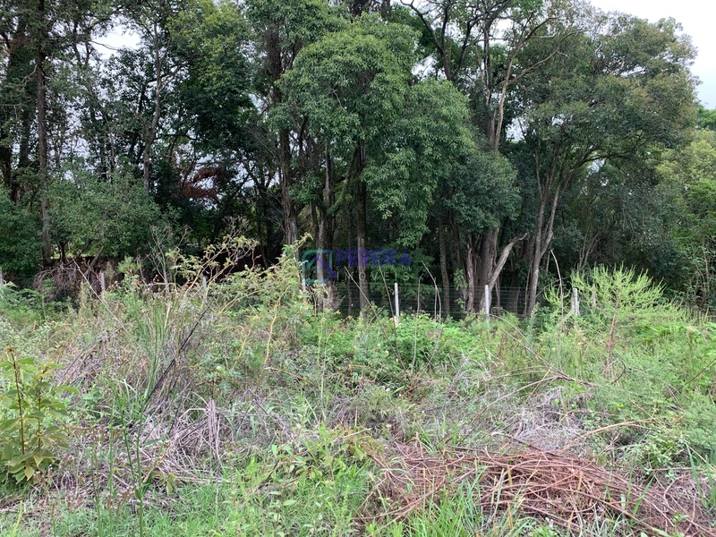 Terreno no Umbu.: 3ª foto da galeria de imagens do imóvel